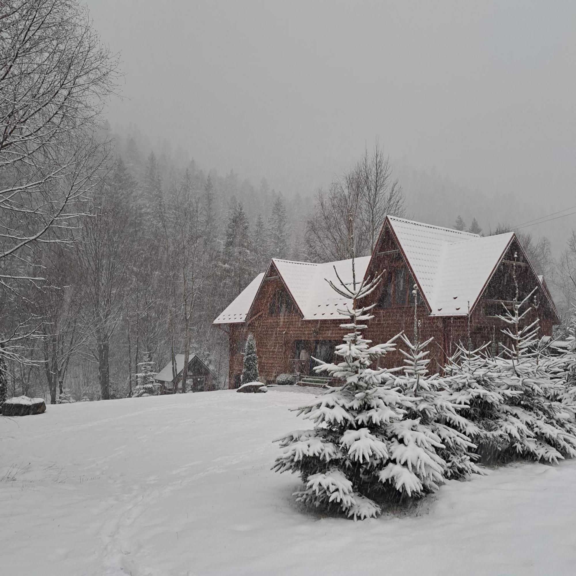 Villa Зарінок Карпат Mykulytschyn Exterior foto